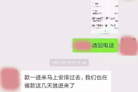 翁源为什么选择专业追讨公司来处理您的债务纠纷？